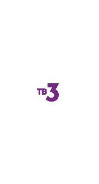 ТВ 3