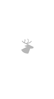 Охота и рыбалка