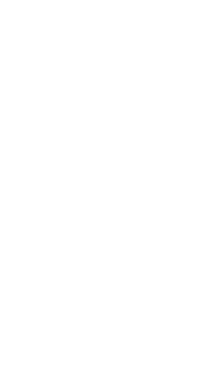 Русский роман HD