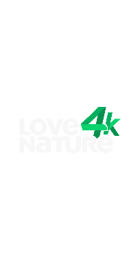 Love Nature 4K