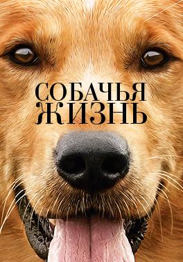 Собачья жизнь