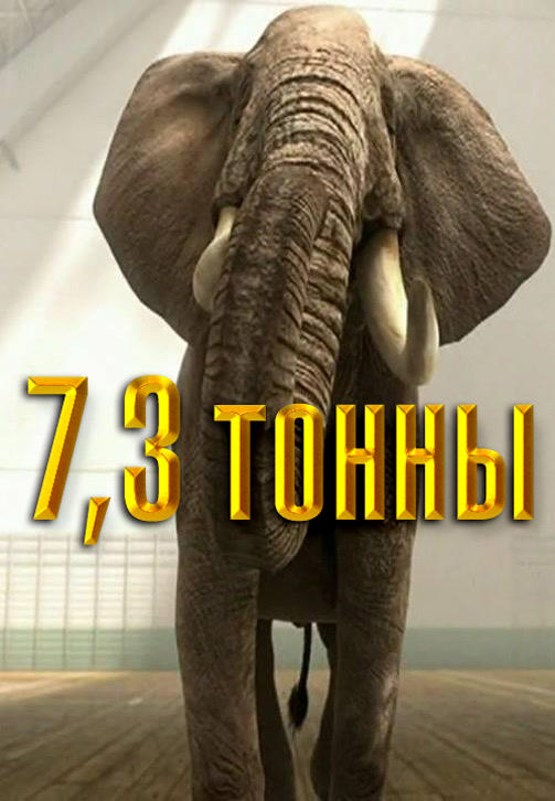 Постер к фильму 7,3 тонны 2005