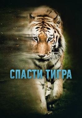 Спасти тигра