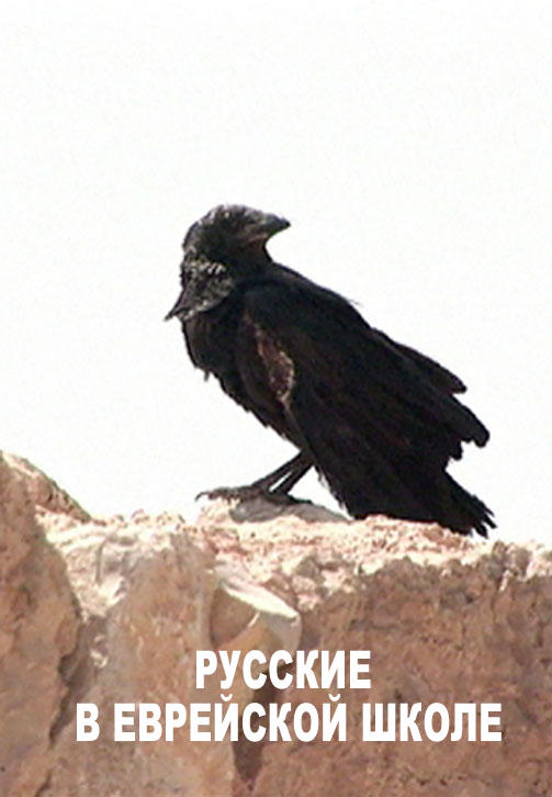 Русские в еврейской школе