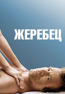 Жеребец. Сезон 2. Серия 9